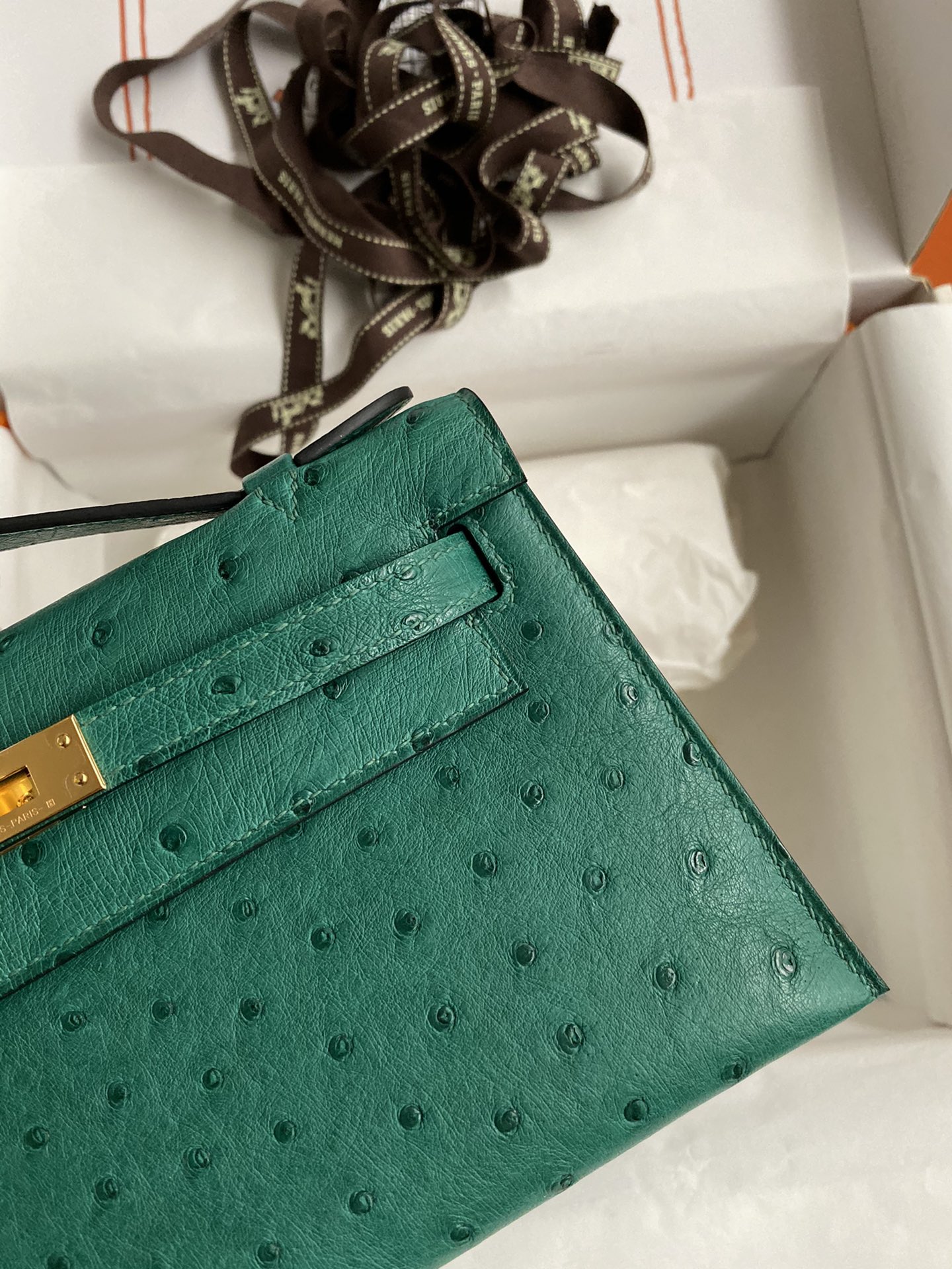 Hermes Mini Kelly Pochette 22cm Bag In Vert Vertigo Ostrich Leather